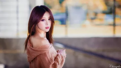 明尼苏达州美元诈骗案